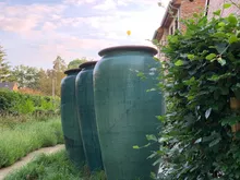 OriginalPhoto-581020262.235802