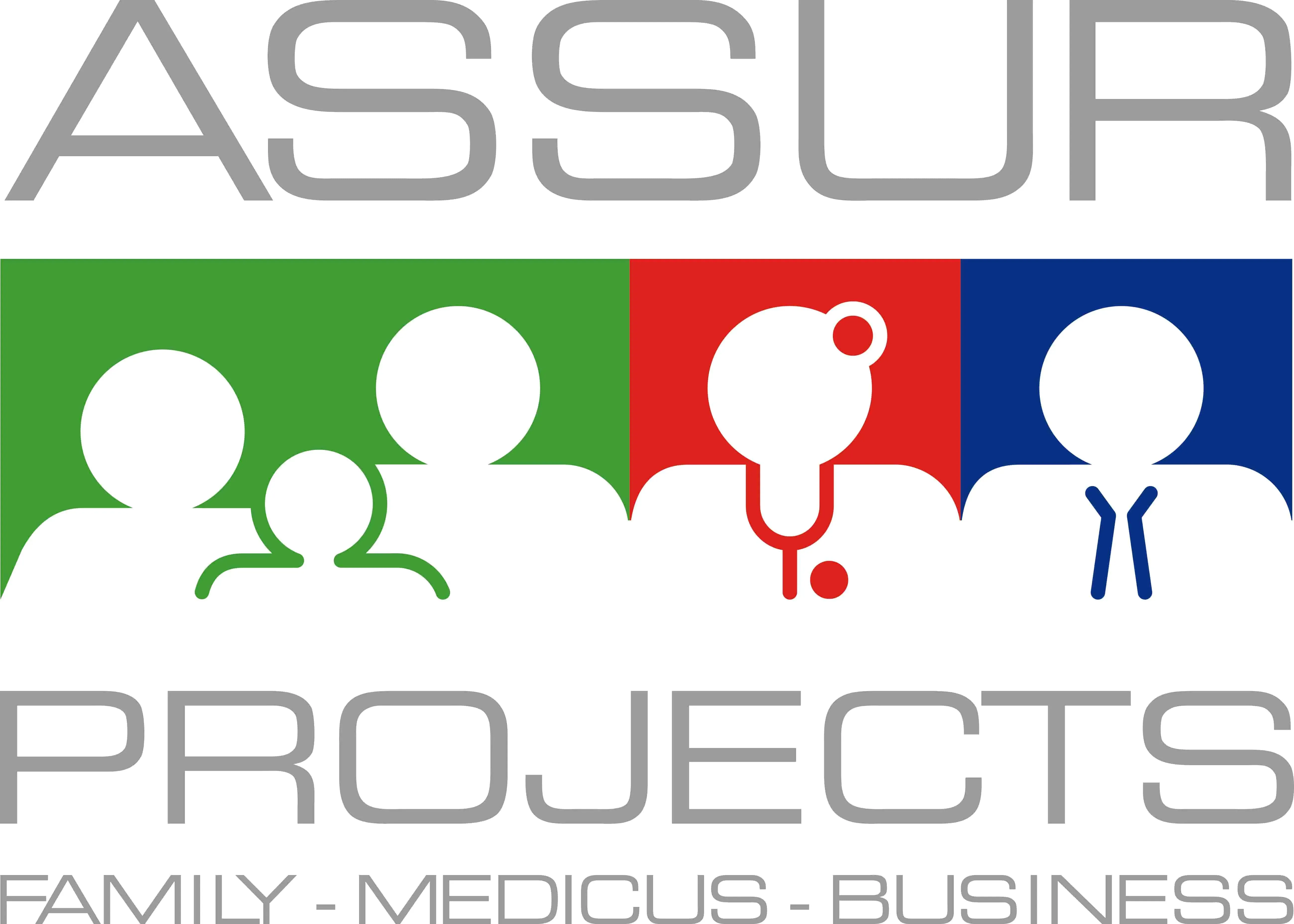 ASSUR - PROJECTS BVBA