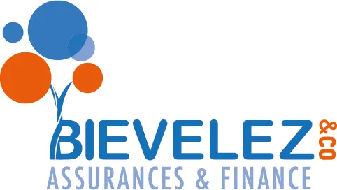 BIEVELEZ & Co SPRL