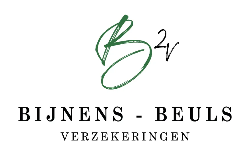 NV VERZEKERINGEN H. BIJNENS