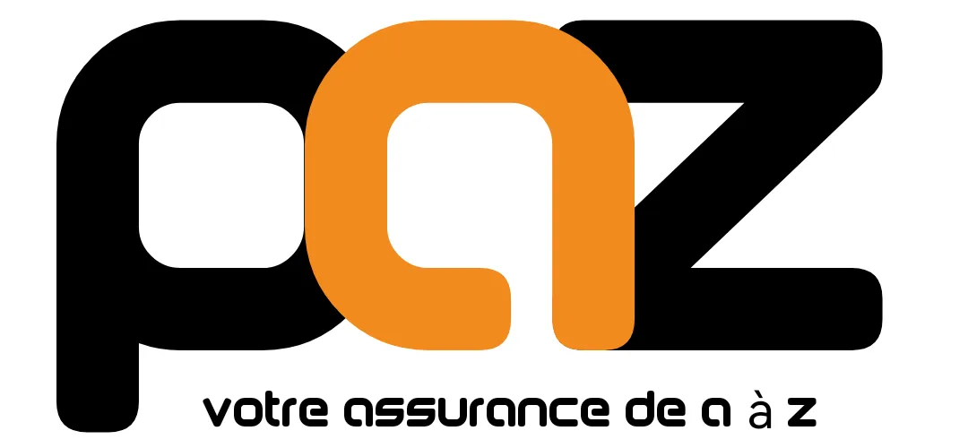 PAZ CONSULT