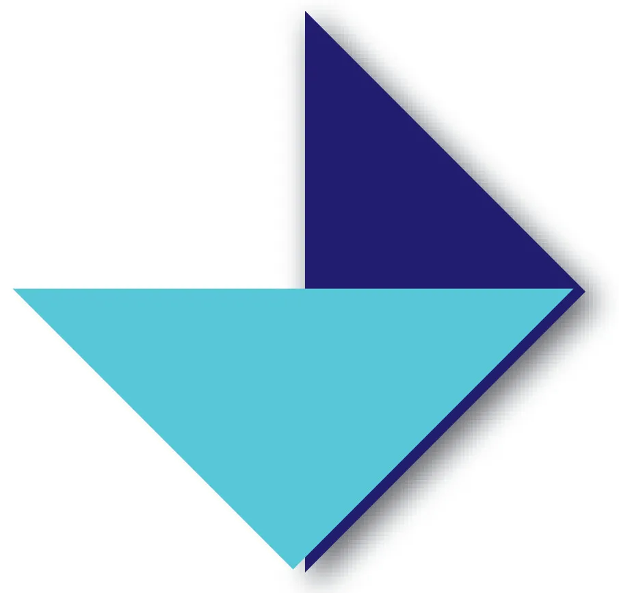 VLAEMINCK-DE WILDE BVBA